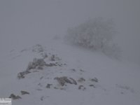 2018-01-13 M. Orsello 154